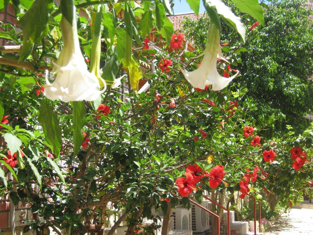 Anfora Apart Pansiyon Erdemli Buitenkant foto